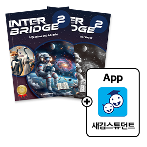 Inter Bridge2
