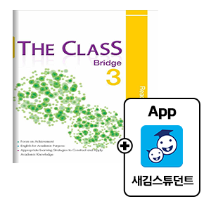 Bridge3(Reading)(기본)